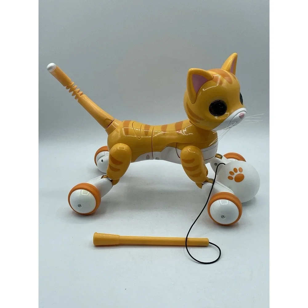 zoomer orange kitty